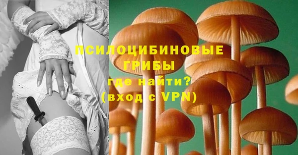 мдпв Абдулино