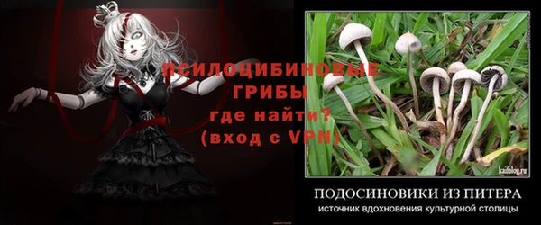 метадон Абаза